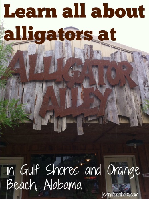 Alligator Alley Gulf Shores and Orange Beach